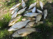 IMG_0428.jpg