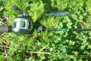 100_4312.jpg