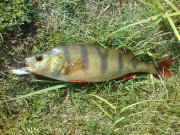 DSC02048.jpg