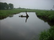DSCN0318.jpg