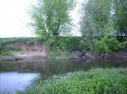 DSCN0324.jpg
