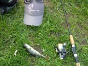 050520121714.jpg