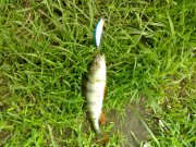 050520121717.jpg