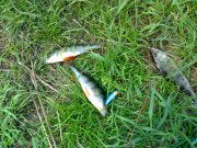 050520121718.jpg