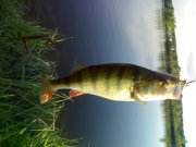 050520121720.jpg