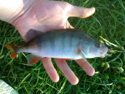 050520121719.jpg