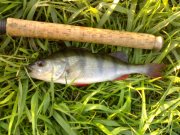 050520121721.jpg