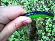 06052012490.jpg