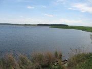 IMG_0565.JPG