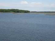 IMG_0567.JPG