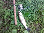 06052012206.jpg