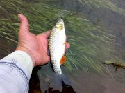 06052012205.jpg