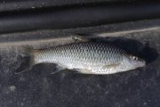 IMG_2638.jpg