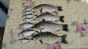 DSC03446.jpg