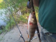 20120505_072144.jpg
