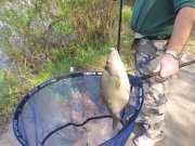 20120505_083622.jpg