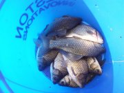 20120505_161619.jpg