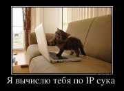 1336242180_14529715_ya-vyichislyu-tebya-po-ip-suka-.jpg