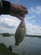 IMG_7373_новый размер.jpg