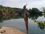 07052012189.jpg