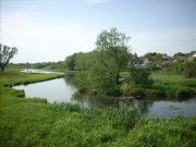 DSCN0948.JPG