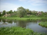 DSCN0949.JPG