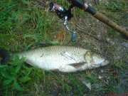 DSC00342.JPG