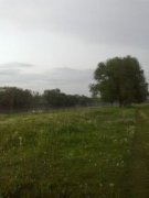 07052012053-001.jpg