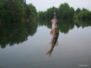 IMG_0031.JPG