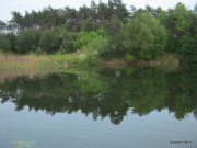 IMG_0034.JPG