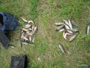 IMG_0046.JPG