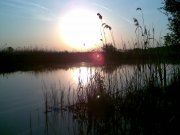 Фото011.jpg