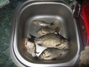 IMG_0317.jpg
