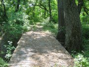 IMG_0897.JPG