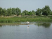 IMG_0900.JPG