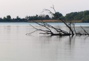 IMG_0522_resize.jpg