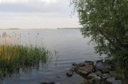 IMG_0523_resize.jpg