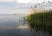 IMG_0524_resize.jpg