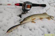 100_3586.jpg