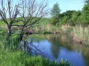 DSCN0352.jpg