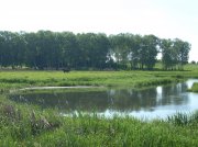 DSCN0356.jpg