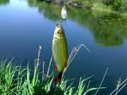 120520121747.jpg