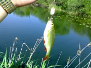 120520121748.jpg