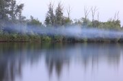 IMG_0417.jpg
