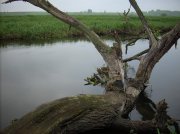 DSCN0320.jpg