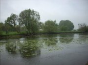 DSCN0316.jpg