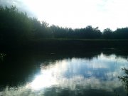 IMAG0278.jpg