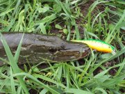 DSC04404.JPG