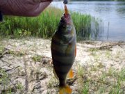 IMG_0327.JPG