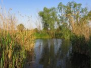 IMG_0591.jpg